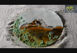 Copper (I) oxide and 'Filter Paper Art'