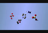Oxalic acid from cane sugar and nitric acid