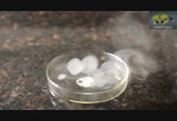 Reduction of vanillin to vanillyl alcohol