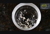 Theobromine extraction from cocoa powder